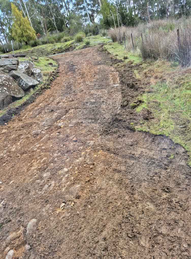Freshly graded dirt track through grassy bushland